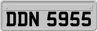 DDN5955