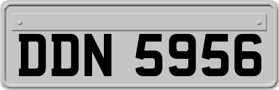 DDN5956