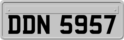 DDN5957