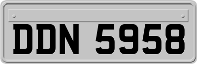 DDN5958