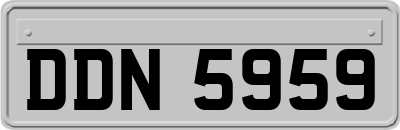 DDN5959