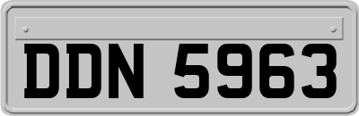 DDN5963