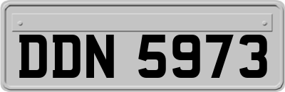DDN5973
