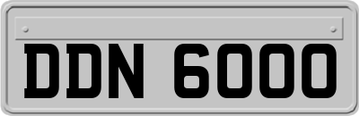 DDN6000
