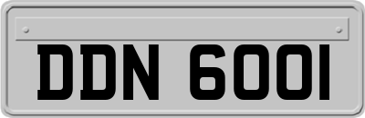 DDN6001
