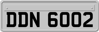 DDN6002