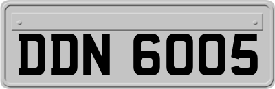 DDN6005