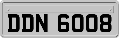 DDN6008
