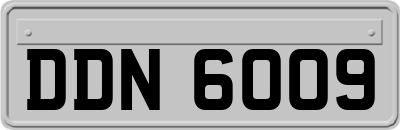 DDN6009
