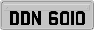 DDN6010