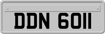 DDN6011