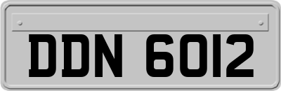 DDN6012