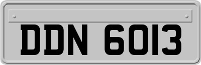 DDN6013