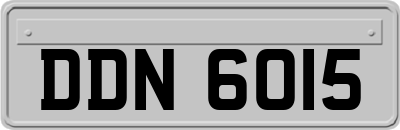 DDN6015
