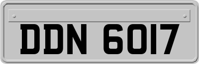 DDN6017