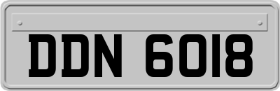 DDN6018
