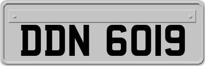 DDN6019