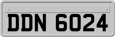 DDN6024