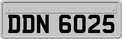 DDN6025