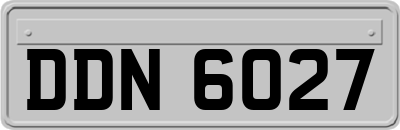 DDN6027