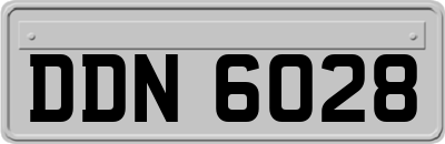 DDN6028