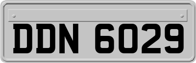 DDN6029