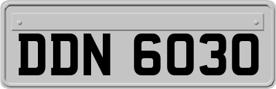 DDN6030