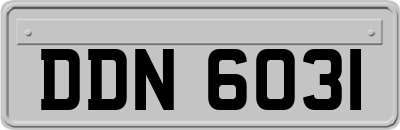 DDN6031