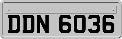 DDN6036
