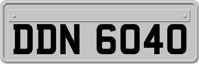 DDN6040