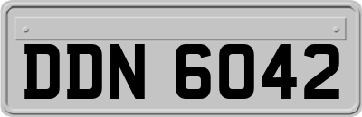 DDN6042