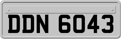 DDN6043