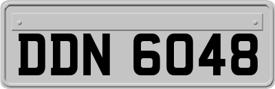 DDN6048