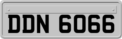 DDN6066