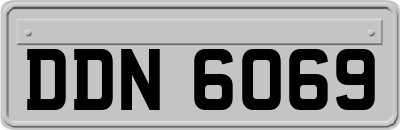 DDN6069
