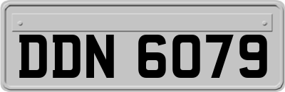DDN6079