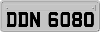DDN6080
