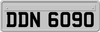 DDN6090