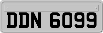 DDN6099