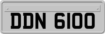 DDN6100