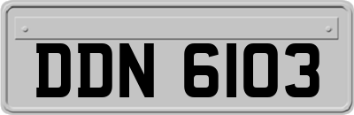 DDN6103