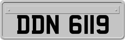 DDN6119