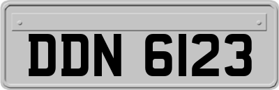 DDN6123