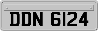 DDN6124
