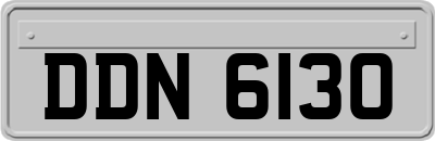 DDN6130