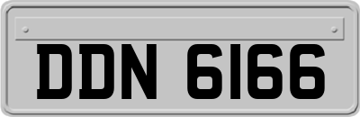 DDN6166