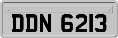 DDN6213