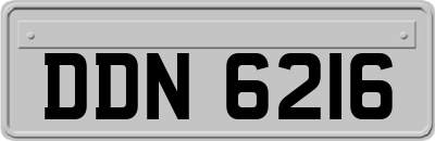 DDN6216