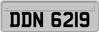 DDN6219