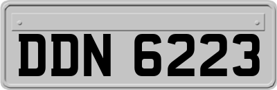 DDN6223